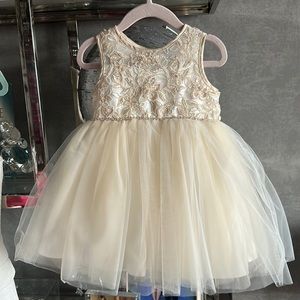 NWT Tip top kids champagne tulle dress.